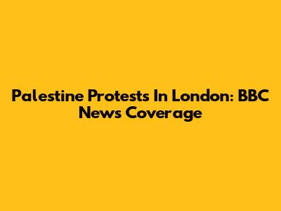 Palestine Protests In London: BBC News Coverage
