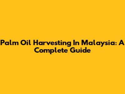 Palm Oil Harvesting In Malaysia: A Complete Guide