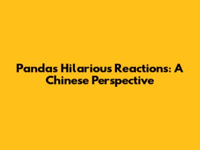 Panda's Hilarious Reactions: A Chinese Perspective