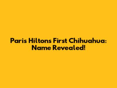 Paris Hilton's First Chihuahua: Name Revealed!