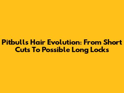 Pitbull's Hair Evolution: From Short Cuts To Possible Long Locks
