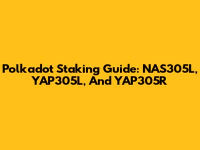 Polkadot Staking Guide: NAS305L, YAP305L, And YAP305R