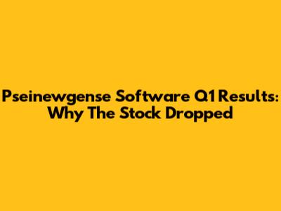 Pseinewgense Software Q1 Results: Why The Stock Dropped