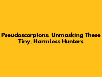 Pseudoscorpions: Unmasking These Tiny, Harmless Hunters