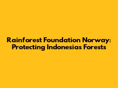 Rainforest Foundation Norway: Protecting Indonesia's Forests