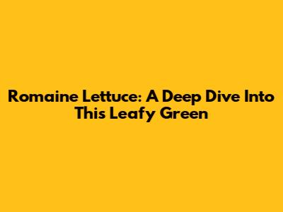 Romaine Lettuce: A Deep Dive Into This Leafy Green