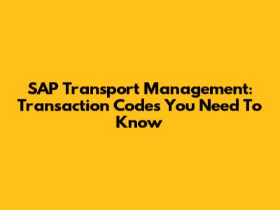 SAP Transport Management: Transaction Codes You Need To Know