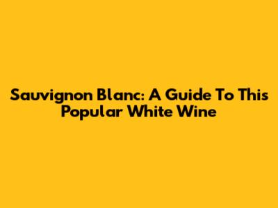 Sauvignon Blanc: A Guide To This Popular White Wine