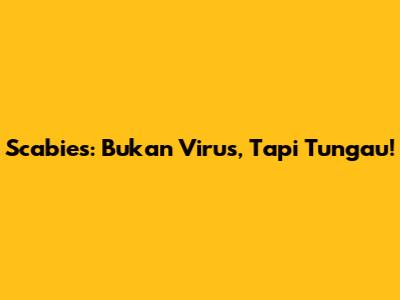 Scabies: Bukan Virus, Tapi Tungau!