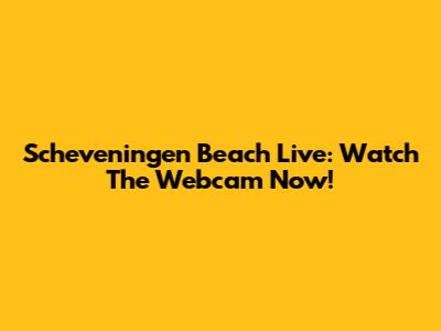 Scheveningen Beach Live: Watch The Webcam Now!