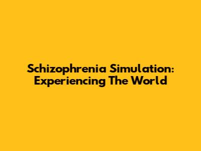 Schizophrenia Simulation: Experiencing The World