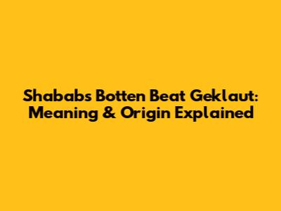 Shababs Botten Beat Geklaut: Meaning & Origin Explained