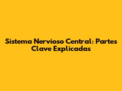 Sistema Nervioso Central: Partes Clave Explicadas