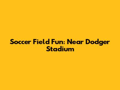 Soccer Field Fun: Near Dodger Stadium