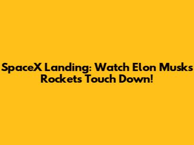 SpaceX Landing: Watch Elon Musk's Rockets Touch Down!