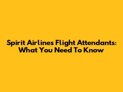 Spirit Airlines Flight Attendants: What You Need To Know