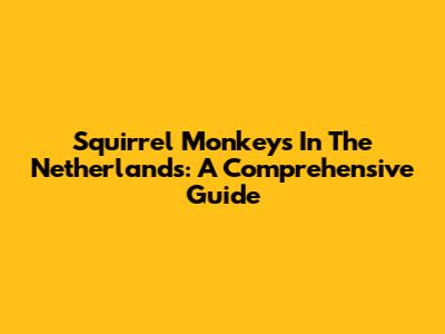Squirrel Monkeys In The Netherlands: A Comprehensive Guide