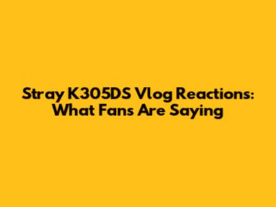 Stray K305DS Vlog Reactions: What Fans Are Saying