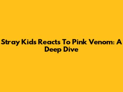Stray Kids Reacts To Pink Venom: A Deep Dive