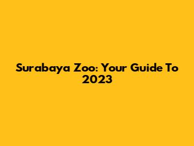 Surabaya Zoo: Your Guide To 2023