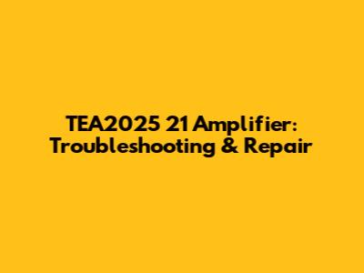 TEA2025 21 Amplifier: Troubleshooting & Repair