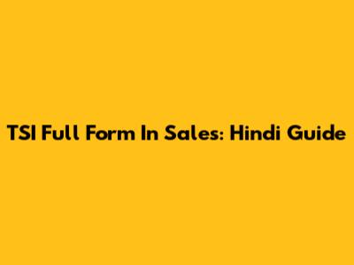 TSI Full Form In Sales: Hindi Guide
