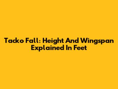 Tacko Fall: Height And Wingspan Explained In Feet