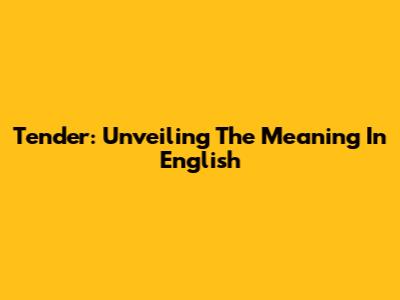 Tender: Unveiling The Meaning In English