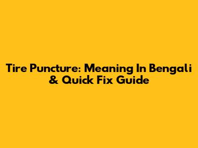 Tire Puncture: Meaning In Bengali & Quick Fix Guide