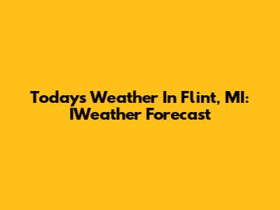 Today's Weather In Flint, MI: IWeather Forecast