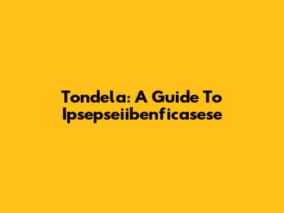 Tondela: A Guide To Ipsepseiibenficasese