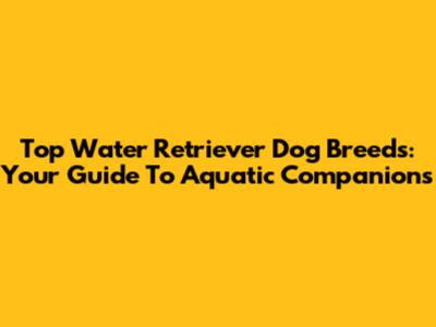 Top Water Retriever Dog Breeds: Your Guide To Aquatic Companions