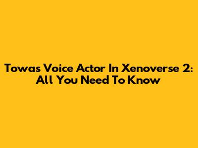 Towa's Voice Actor In Xenoverse 2: All You Need To Know