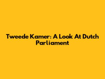Tweede Kamer: A Look At Dutch Parliament