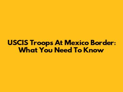 USCIS Troops At Mexico Border: What You Need To Know