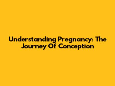 Understanding Pregnancy: The Journey Of Conception