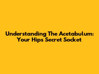 Understanding The Acetabulum: Your Hip's Secret Socket