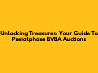 Unlocking Treasures: Your Guide To Pseialphase BVBA Auctions