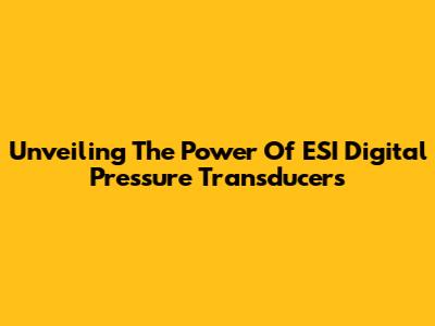 Unveiling The Power Of ESI Digital Pressure Transducers
