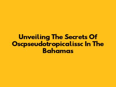 Unveiling The Secrets Of Oscpseudotropicalissc In The Bahamas