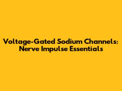 Voltage-Gated Sodium Channels: Nerve Impulse Essentials