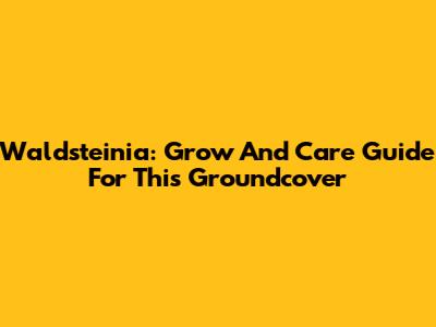 Waldsteinia: Grow And Care Guide For This Groundcover