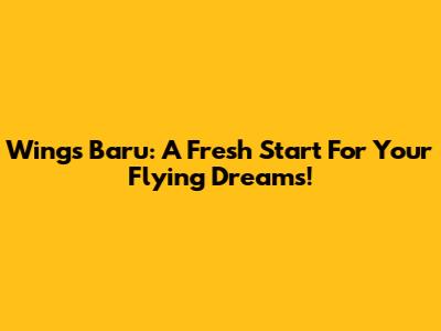 Wings Baru: A Fresh Start For Your Flying Dreams!