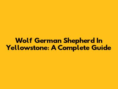 Wolf German Shepherd In Yellowstone: A Complete Guide