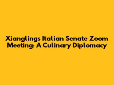 Xiangling's Italian Senate Zoom Meeting: A Culinary Diplomacy