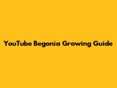 YouTube Begonia Growing Guide
